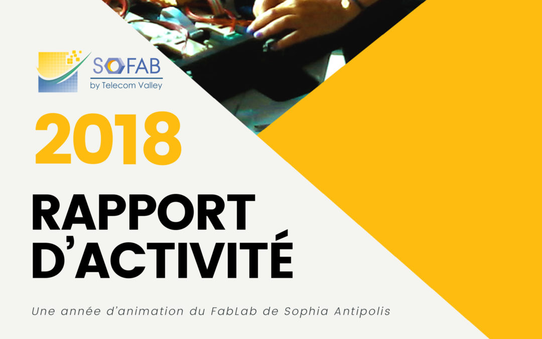 Rapport d’activité SoFAB 2018