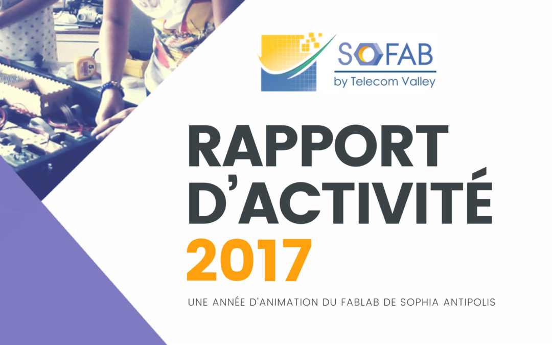 Rapport d’Activité SoFAB 2017