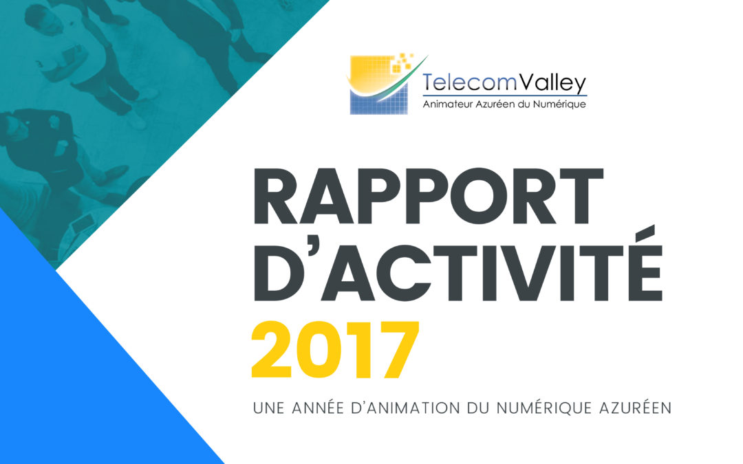 Rapport d’activité 2017