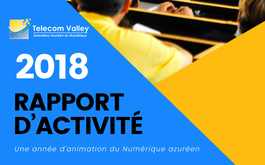 Rapport d’activité Telecom Valley 2018