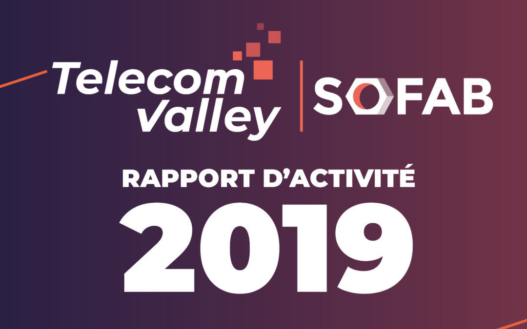 Rapport d’activité SoFAB 2019