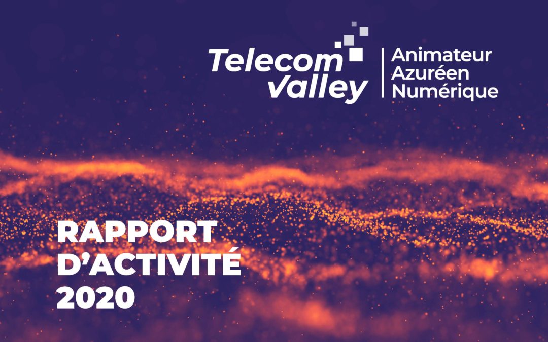 RAPPORT D’ACTIVITÉ TELECOM VALLEY 2020