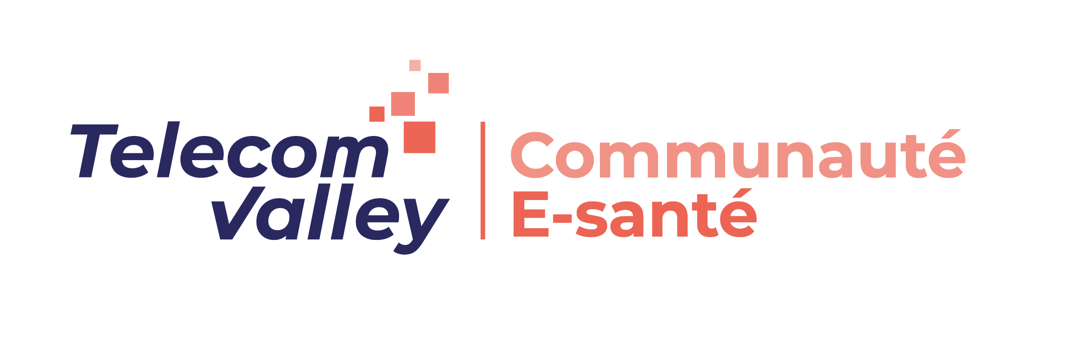 Logo Communauté E-santé_Classique