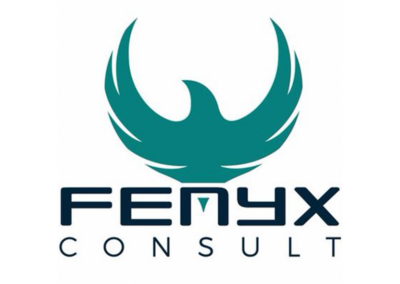 FENYX CONSULT